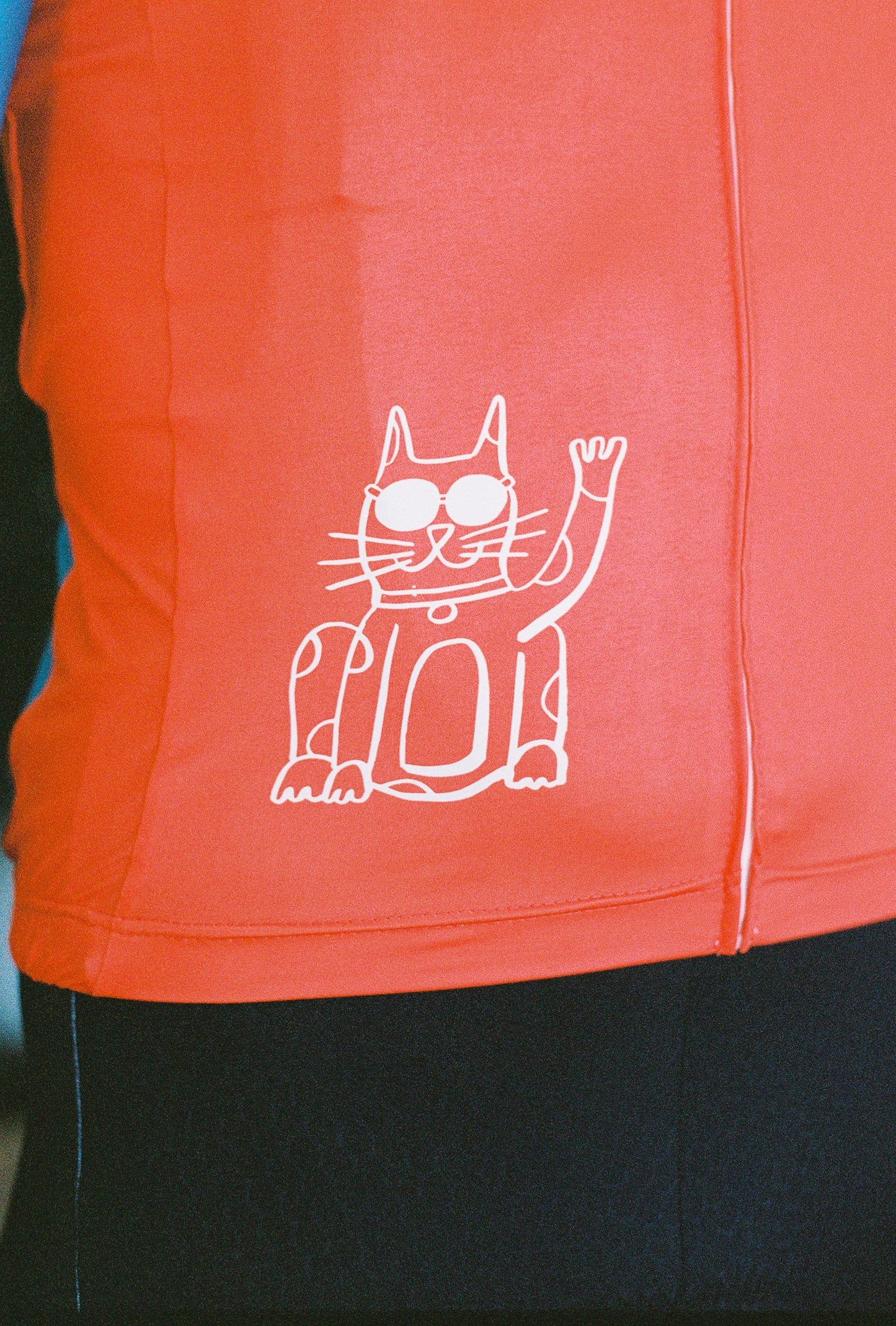 A close up of cycling jersey, a picture of a cat